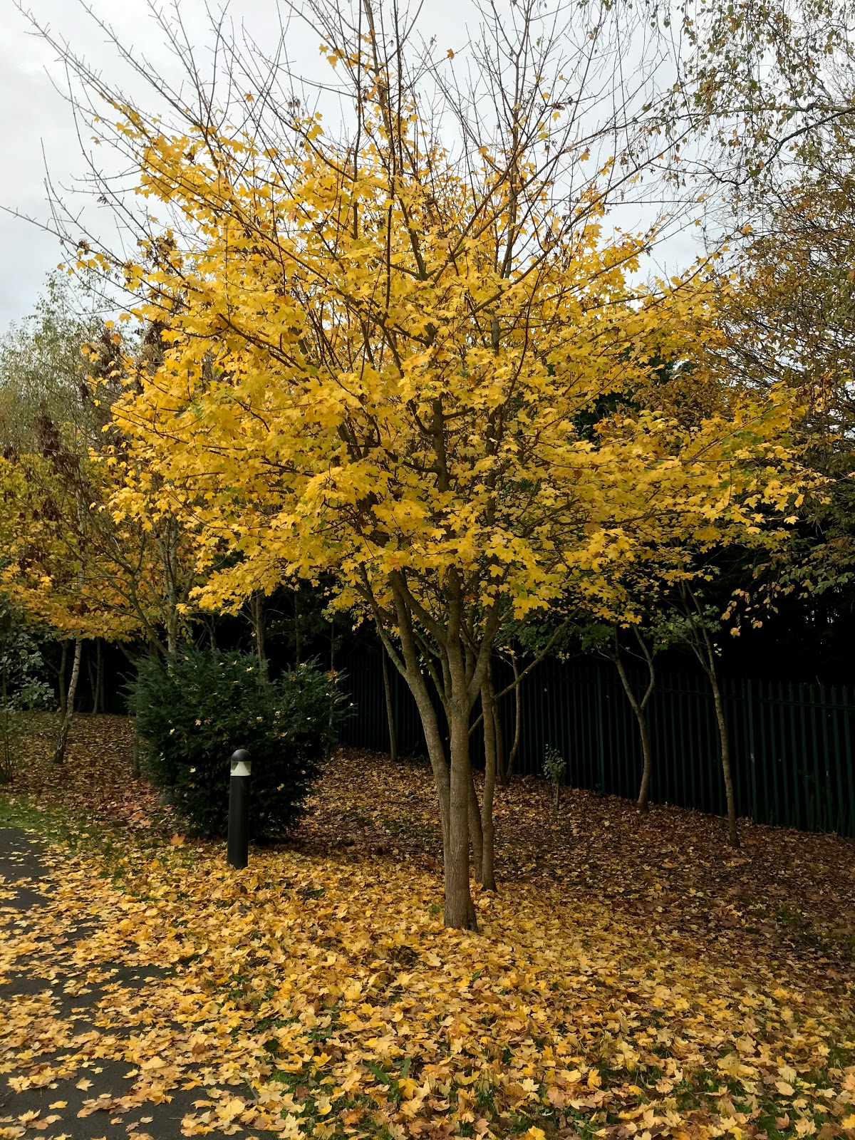 Tonbridge Lawn Tennis Club