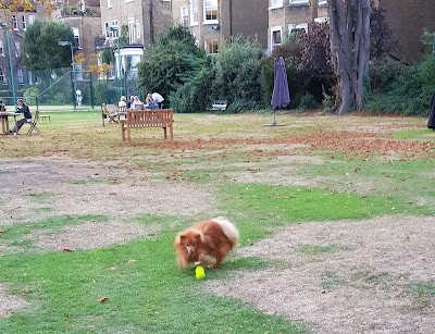 Holland Park Lawn Tennis Club