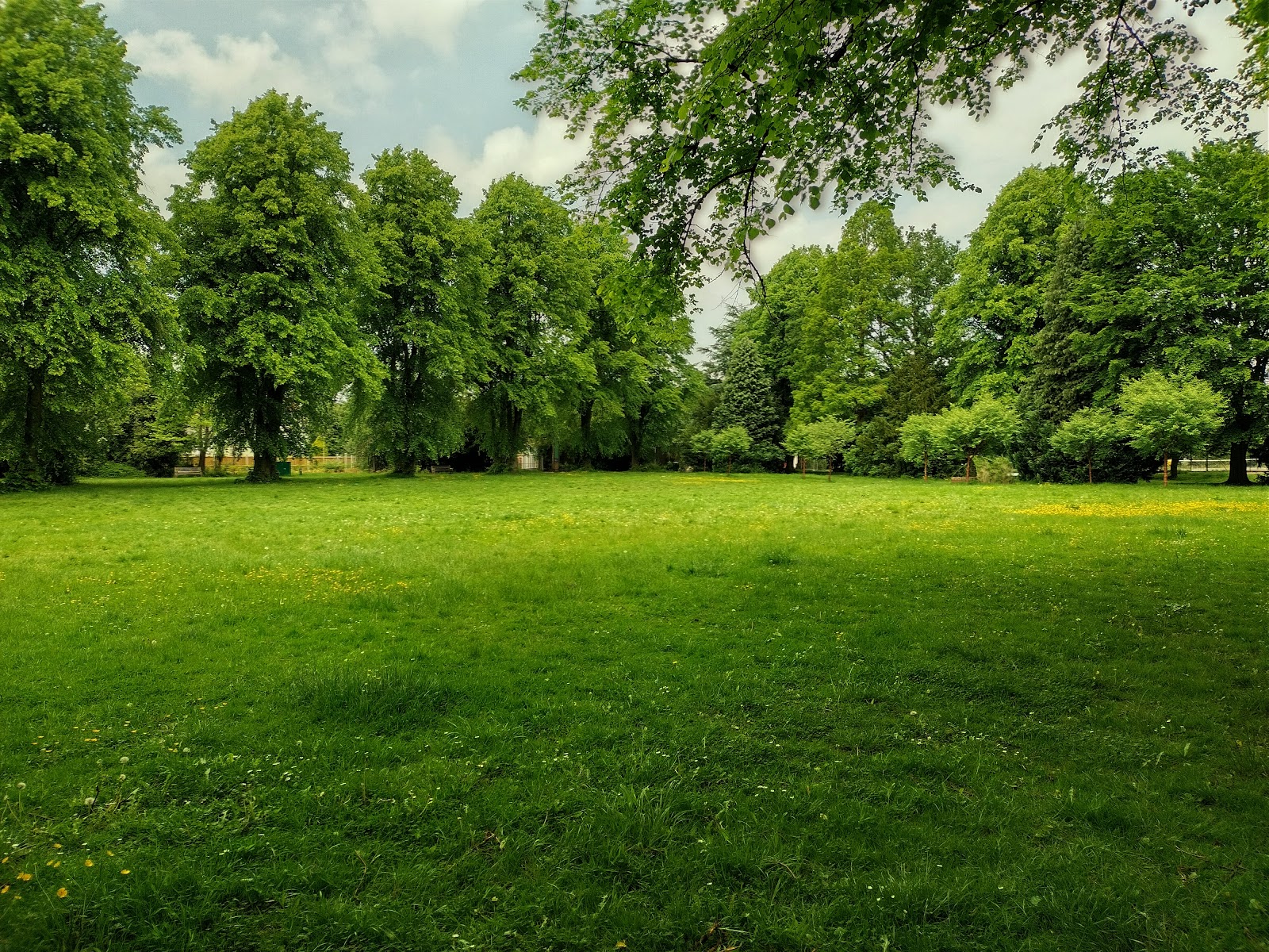 Alexandra Park - Cheshire