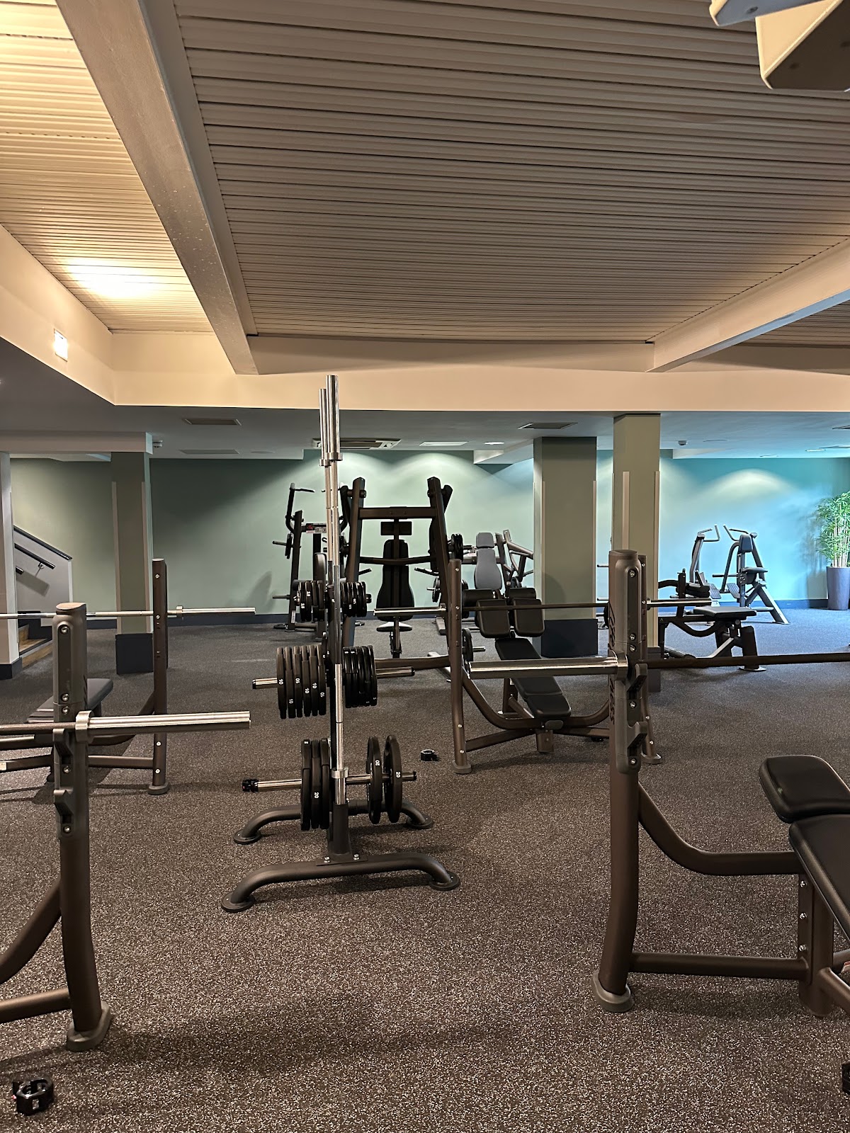 David Lloyd Club Woking