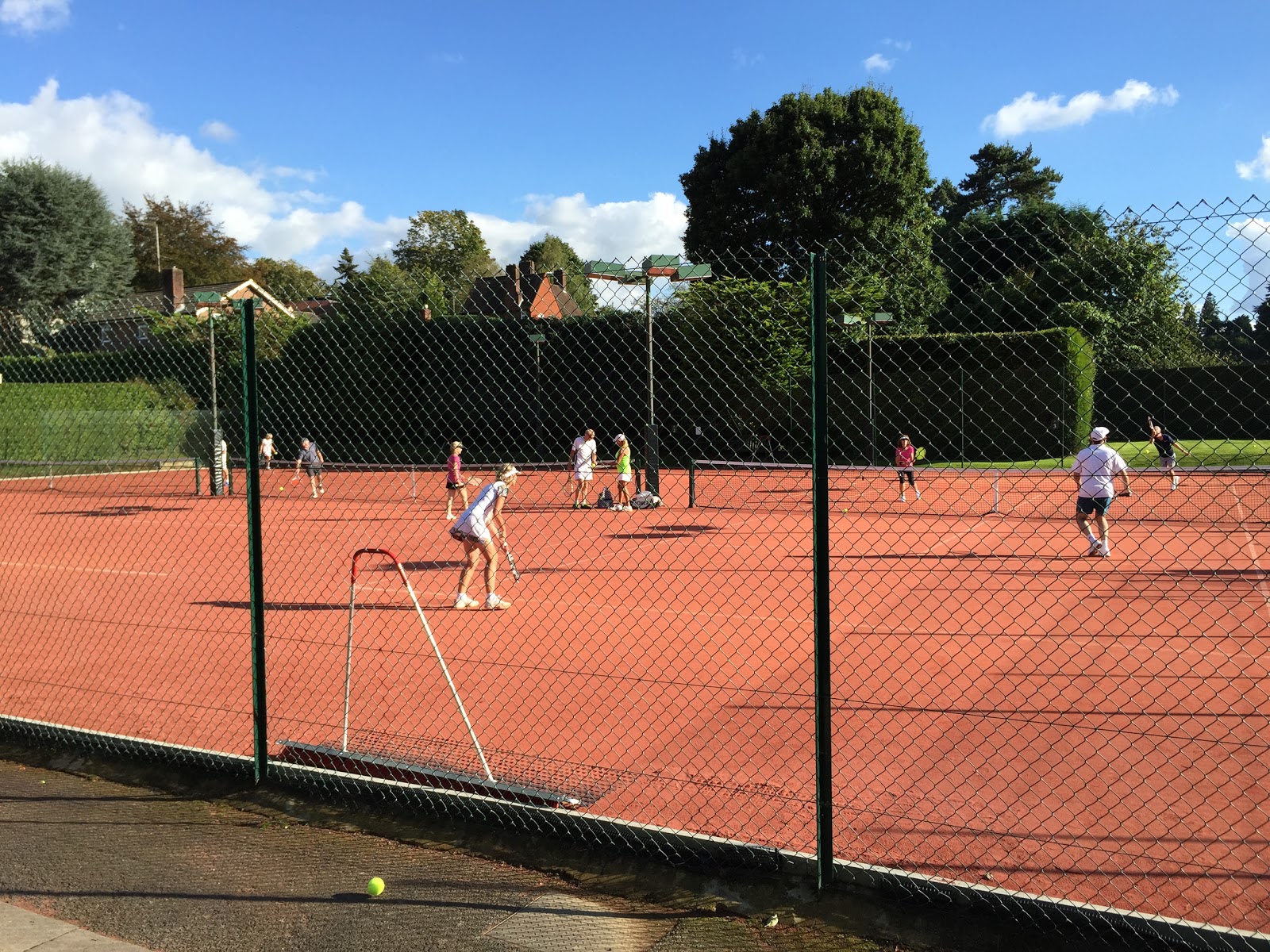 Dorking Lawn Tennis And Squash Club Ltd