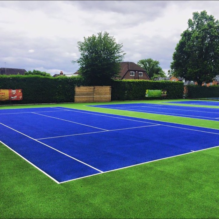 Elms Lawn Tennis Club