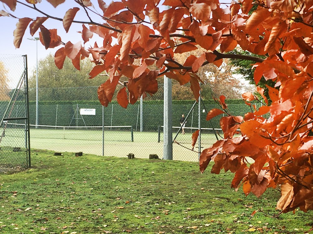 Flitwick and Ampthill Lawn Tennis Club