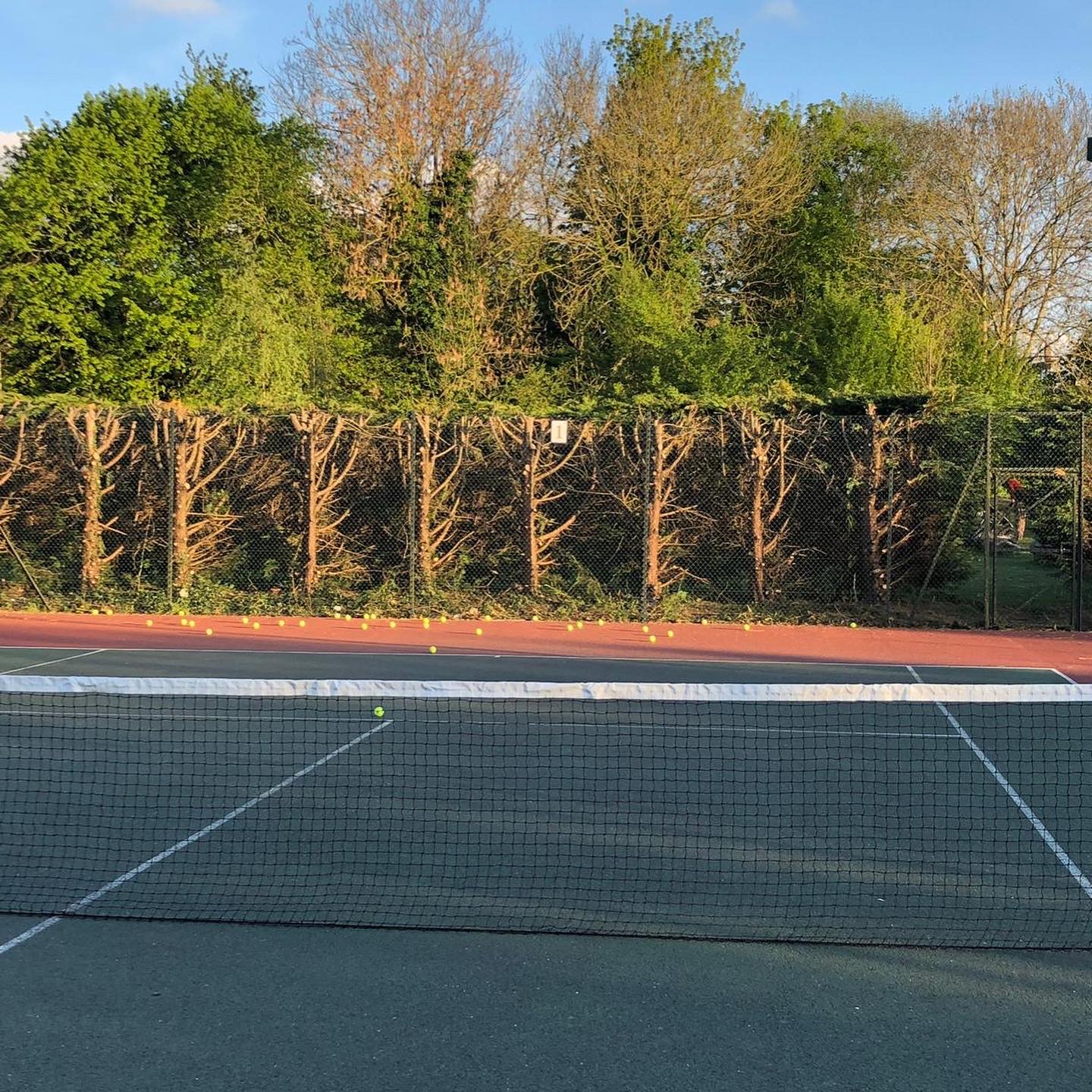 Ashtead Tennis Players Club