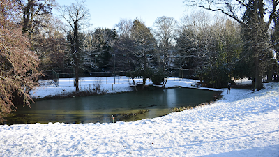 Dallington Lawn Tennis Club