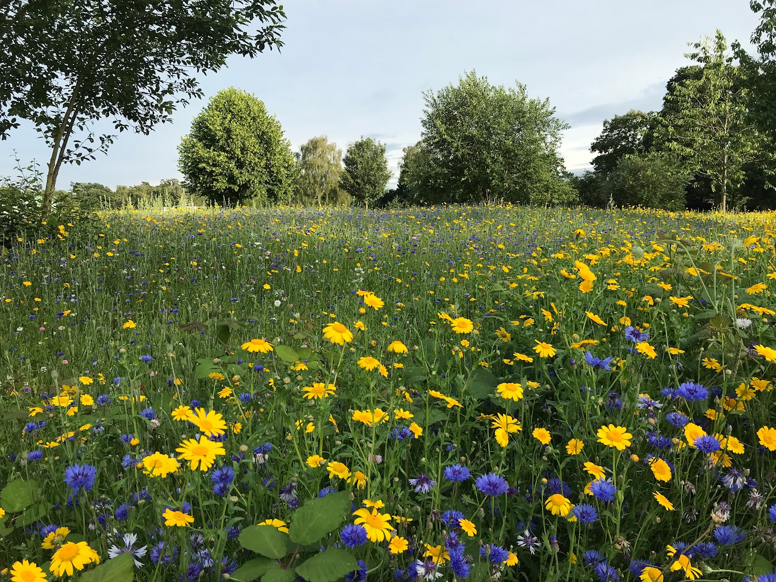 Hiltingbury Recreation Grounds