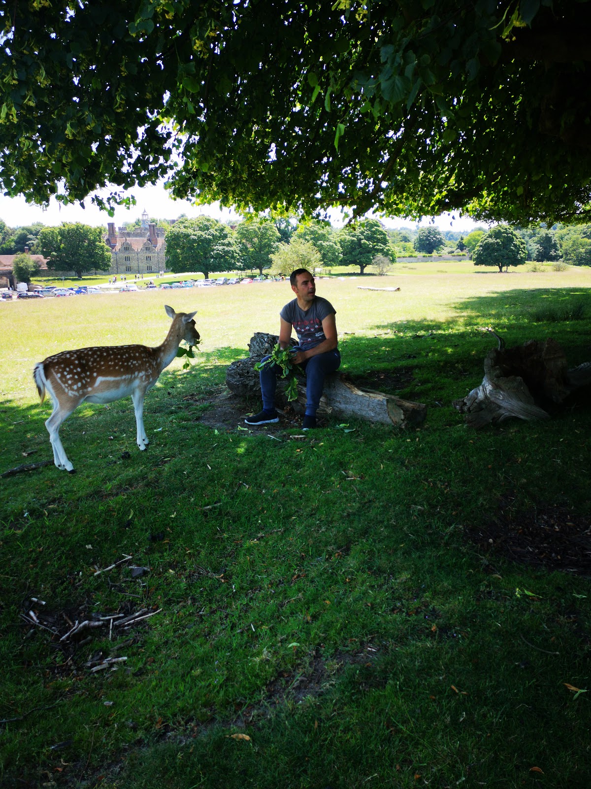 Sevenoaks Lawn Tennis Club