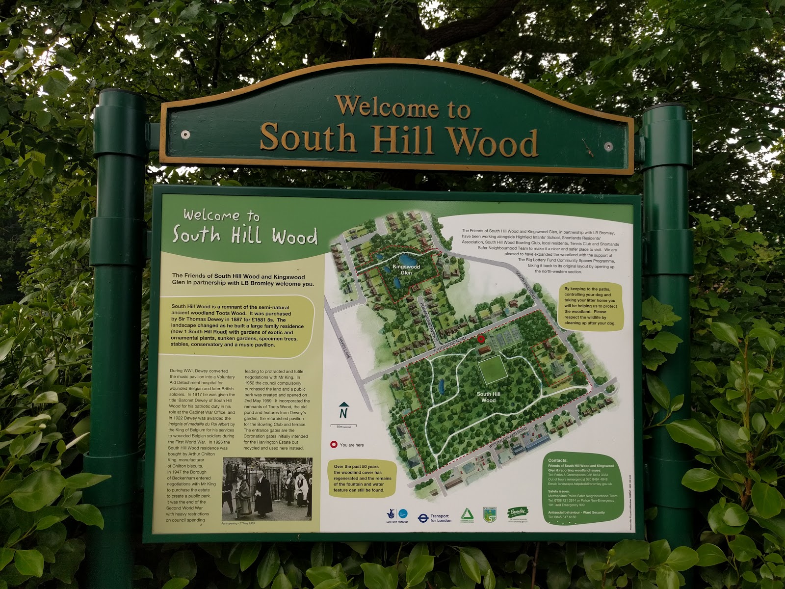 South Hill Woods TC