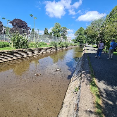 Tavistock Tennis Club